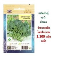 ราคา 5 ฟรี 1 คละได้ทั้งร้าน เมล็ดพันธุ์ คะน้าฮ่องกง ตรา เจียไต๋ (4306825945)