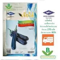 ราคา 5 แถม 1 เมล็ดพันธุ์ มะเขือยาวม่วง Eggplant เจียไต๋ (2585077585)