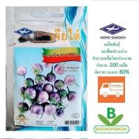 ราคา 5 ฟรี 1 คละได้ทั้งร้าน เมล็ดพันธุ์ มะเขือเปราะสีม่วง เจียไต๋ (2584977943)