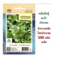 ราคา 5 แถม 1 เมล็ดพันธุ์ คะน้าเห็ดหอม เจียไต๋ (2538962003)
