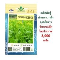 ราคา 5 แถม 1 เมล็ดพันธุ์ กวางตุ้ง ดอกต้นขาว เจียไต๋ (2507847905)