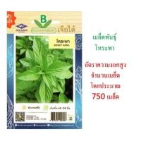 ราคา 5 แถม 1 เมล็ดพันธุ์ โหระพา เจียไต๋ จำนวน 750 เมล็ดโดยประมาณ (2489330543)
