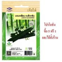ราคา 5 แถม 1 คละได้ เมล็ดพันธุ์ บวบเหลี่ยม แบล็คกรีน เจียไต๋ เมล็ดผัก เม้ล็ดพันธุ์ผัก เมล็ดพืช (23287408742)