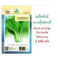 ราคา 5 ฟรี 1 คละได้ทั้งร้าน เมล็ดพันธุ์ กวางตุ้งฮ่องเต้ เจียไต๋ จำนวนเมล็ดโดยประมาณ 1 100 เมล็ด (2507314334)