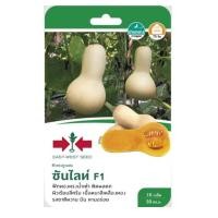 ราคา 5 แถม 1 เมล็์ดพันธ์ ฟักทองลูกผสม ซัลไลทท์ F1 ตราศรแดง (7812121980)