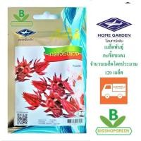 ราคา 5 แถม 1 เมล็ดพันธุ์ กระเจี๊ยบแดง เจียไต๋ (6709100150)