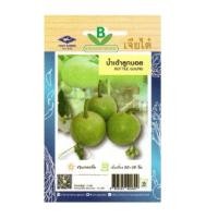 ราคา 5 แถม 1 เมล็ดพันธุ์ น้ำเต้าลูกบอล เจียไต๋ (22461262645)