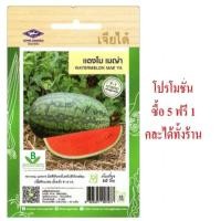 ราคา 5 แถม 1 เมล็ดพันธุ์ แตงโม เมญ่า เจียไต่๋ (24002356962)