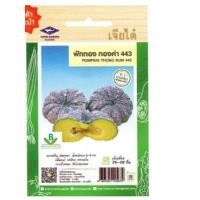 ราคา 5 แถม 1 เมล็ดพันธุ์ ฟักทอง ทองคำ443 เจียไต๋ (22087442864)