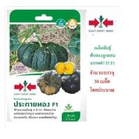 ราคา 5 แถม 1 เมล็ดพันธฺุ์ ฟักทองผลใหญ่ลูกผสม ประกายทอง ศรแดง (21384200984)