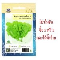 ราคา 5 แถม 1 เมล็ดพันธุ์ ผักกาดหอม เมล็ดขาว เจียไต๋ (12999308636)