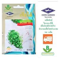 ราคา 5 ฟรี 1 คละได้ เมล็ดพันธุ์ ไควาเระ 01 ต้นอ่อนผักกาดหัว เจ๊ยไต๋ เมล็ดพันธุ์ผัก เมล็ดพืช เมล็ดผัก (7939766070)
