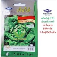 ราคา 5 แถม 1 เมล็ดพันธุ์ บัตเตอร์เฮด เดลี่ เจียไต๋ (6438499981)