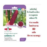 ราคา 5 ฟรี 1 คละได้ทั้งร้าน เมล็ดพันธุ์ ข้าวโพดข้าวเหนียวหวานลูกผสม มณีแดง ตราศรแดง (6015481014)