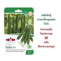 ราคา 5 แถม 1 เมล็ดพันธุ์ บวบเหลี่ยมลูกผสม โรมัน F1 ตราศรแดง (4912185000)