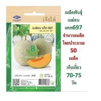 ราคา 5 แถม 1 เมล็ดพ้นธุ์ เมล่อน แค็์ท 697 ตรา เจียไต๋ (3412216751)