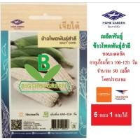 ราคา 5 แถม 1 เมล็ดพันธุ์ผัก ข้าวโพดพันธุ์สำลี ตราเจียไต๋ เมล็ดผัก เมล็ดพันธุ์พืช เมล็ดพืช เมล็ดพันธุ์ผัก (2811625722)