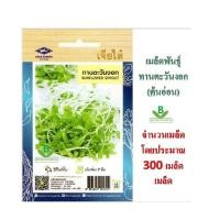 ราคา 5 แถม 1 เมล็ดพันธุ์ ทานตะวันงอก เจียไต๋ (2545548446)