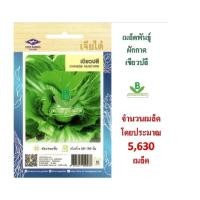 ราคา 5 แถม 1 เมล็ดผัก ผักกาด เขียวปลี เจียไต๋ จำนวนบรรจุ 5 630 เมล็ดโดยประมาณ (2469346668)