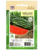 ราคา 5 แถม 1 เมล็ดพันธุ์ แตงโม ญาญ่า เจียไต่ (22387447680)