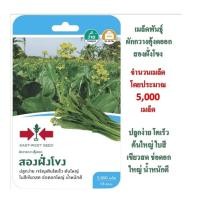 ราคา 5 แถม 1 เมล็ดพันธุ์ ผักกาดกวางตุ้งดอก สองฝั่งโขง ศรแดง (6868697312)