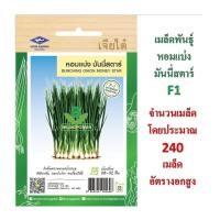 ราคา 5 แถม 1 เมล็ดพันธุ์ หอมแบ่ง มันนี่สตาร์ F1 ตรา เจียไต๋ เมล็ดพันธุ์พืช เมล็ดพืข (6506830611)