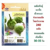 ราคา 5 ฟรี 1 คละได้ทั้งร้าน เมล็ดพันธุ์ มะเขือเจ้าพระยา ตรา เจียไต๋ (2545612270)