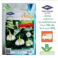 ราคา เมล็ดพันธุ์ มะเขือจานขาว เจียไต๋ เมล็ดผัก เมล็ดพันธุ์พืช เมล็ดพืช เมล็ดพันธุ์ผัก (3806339465)