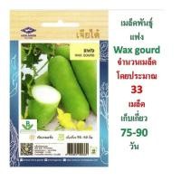 ราคา 5 ฟรี 1 คละได้ทั้งร้าน เมล็ดพันธุ์ แฟง Wax gourd เจียไต๋ (2507608542)
