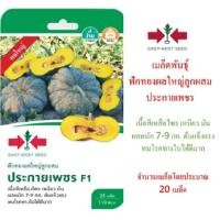 ราคา 5 แถม 1 เมล็ดพันธุ์ ฟักทองประกายเพชร F1 ศรแดง (4012124552)