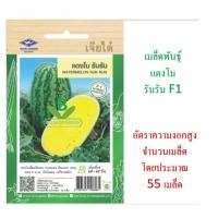 ราคา 5 แถม 1 เมล็ดพันธุ์ แตงโมรันรัน เจียไต๋ (19786338157)