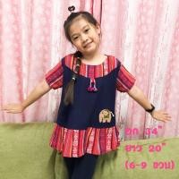 ราคา ชุดเด็กผ้าพื้นเมืองลายน่ารัก (20902517269)