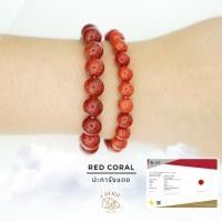 ราคา กำไลหิน ปะการังแดง RED CORAL Natural Quartz กระตุ้นความรัก ลดความเครียด Cherie Lucky (27977041296)