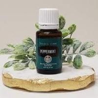 ราคา น้ำมันหอมระเหย Peppermint essential oil บริสุทธิ์ เกรดบำบัดแท้100 15ml Young Living (9546452829)