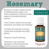 ราคา น้ำมันหอมระเหย Rosemary essential oil บริสุทธิ์ เกรดบำบัดแท้ 100 15ml Young Living (9183734472)