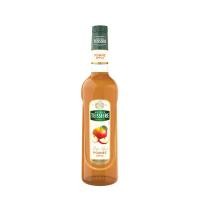 ราคา AFBS Mathieu Teisseire Apple Syrup 700 ml 1108812 (40729771039)