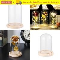 ราคา GRANDZY แก้ว Clche พืช Terrarium โต๊ะ Terrarium แจกันแก้ว Jar ดอกไม้กล่องเก็บ (47657436762)