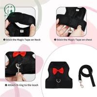 ราคา Chicnest ชุดสายรัดและสายจูงกระต่าย เสื้อกั๊กสายรัดนิรภัยกระต่ายและหนูตะเภา ชุดสายจูงสายรัดหน้าอกแบบปรับได้สําหรับสัตว์เลี้ยงขนาดเล็ก BU (48457991695)