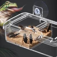 ราคา Chicnest Pet Reptile Transparent Feeder Anti escape Food Bowl Worm Live Container Mini Reptile Pet Bowl With Sucker Pet Supplies BU (51857980649)