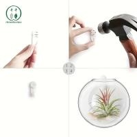 ราคา Chicnest แขวนผนังแก้วพืช Terrarium คอนเทนเนอร์ Propagation Station ติดผนังแจกันดอกไม้ Air Plant Terrarium โฮมออฟฟิศตกแต่ง BU (56657969896)