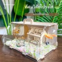ราคา Marked down สัตว์เลี้ยงนางฟ้ากรงหนูแฮมสเตอร์อะคริลิขนาดใหญ่พิเศษวิลล่าราคาถูกหมีทองอุปกรณ์หนูแฮมสเตอร์ครบชุ (56659005926)