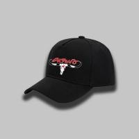 ราคา หมวกเบสบอลพิมพ์ลายคาราบาว carabao Graphic Baseball Cap ใส่ได้ ทั้ง ชาย (40971588696)