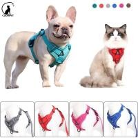 ราคา CDDMPET เสื้อกั๊ก และสายจูง ผ้าตาข่ายสะท้อนแสง สามารถปรับได้ สําหรับสัตว์เลี้ยง สุนัข แมว (25003642947)