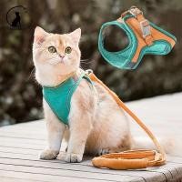 ราคา CDDMPET สายจูงรัดอกสัตว์เลี้ยง หมา แมว สายจูงทูโทน เสื้อรัดอกสุนัข ปลอกคอสัตว์เลี้ยง ชุดแมว (20283831953)