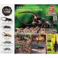 ราคา BANDAI Ikimono สารานุกรม Beetle 08 ชุดฟิกเกอร์แคปซูลของเล่นญี่ปุ่น (44658123588)