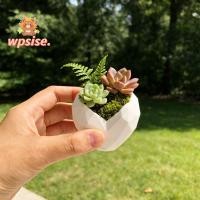 ราคา WPSISE กระถางดอกไม้ อุปกรณ์ทําสวนรูปหัวใจ Love ดอกไม้หม้อ Mini Creative ขนาดเล็กความจุคอนเทนเนอร์พืชตกแต่งในร่ม (55508881819)