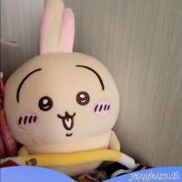 ราคา Miniso MINISO Chiikawa 3 0 Series ตุ๊กตาตุ๊กตาชุดน่ารัก Usachijii Xiaoba (45657409328)