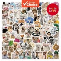 ราคา 200 100pcs ตลกน่ารักสัตว์เลี้ยง Puppy ลูกแมวสติกเกอร์สําหรับกระเป๋าเดินทางเคสโทรศัพท์แล็ปท็อปโน้ตบุ๊ค Decals เด็กของขวัญ RecordingYourLife (29354620254)