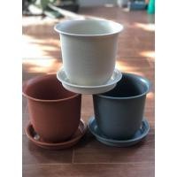 ราคา กระถางต้นไม้ แบบหนา ขนาด8นิ้วพร้อมจานรอง minimal (7173584637)