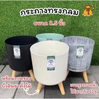 ราคา กระถางทรงกลม ขนาด 8 5 นิ้ว พร้อมถาดรองน้ำ บิ้วอินขาตั้งไม้ (44455995408)